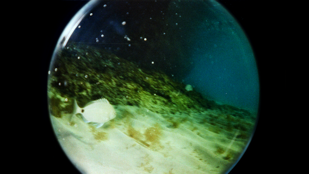 beitrag_foto_fisheye_no2_2