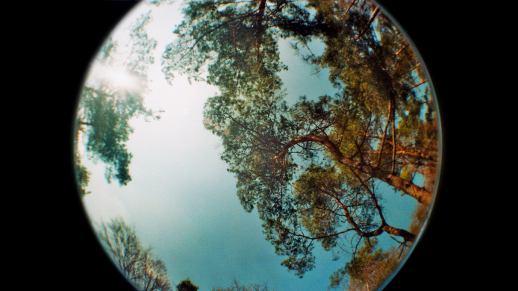 beitrag_foto_fisheye_no2_4