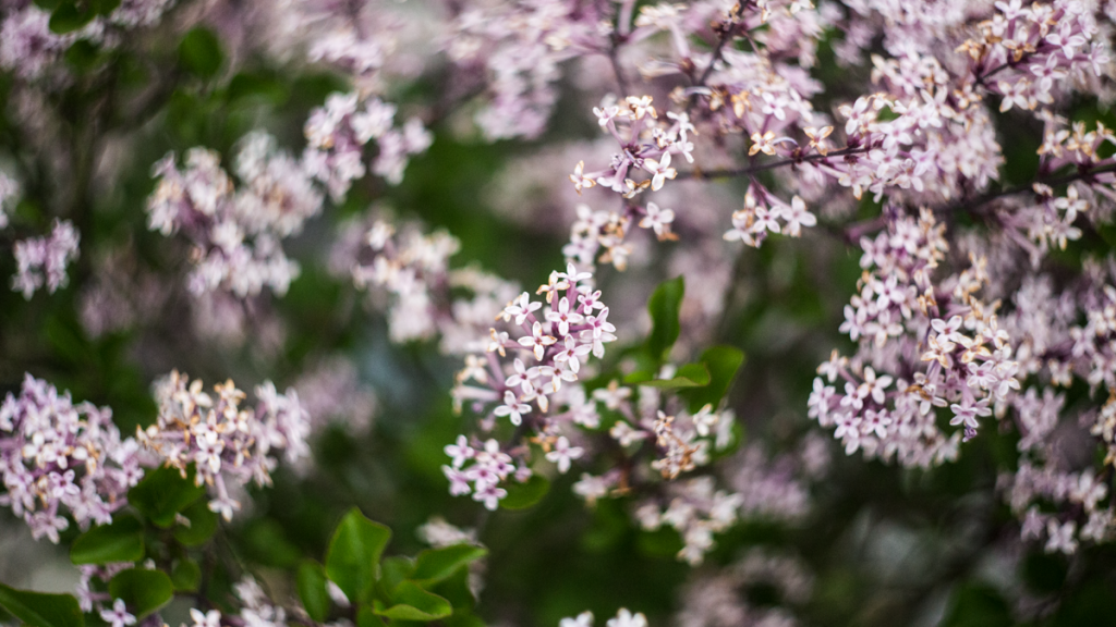 Beitrag_Foto_swirly-bokeh